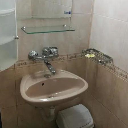 ели 3*
