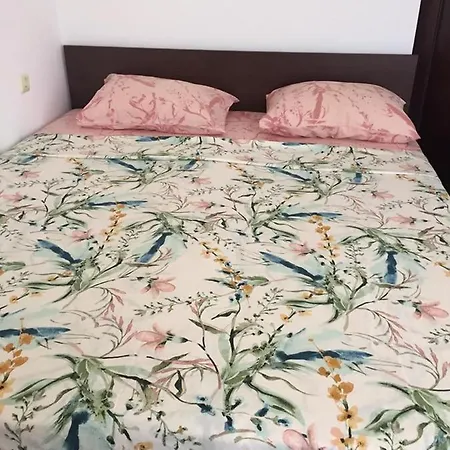 ели Maison d'hôtes Primorsko